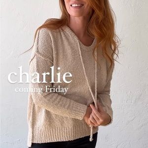 ✨sold✨Carly Jean Los Angeles Charlie Hooded Sweater in Sand size S/M